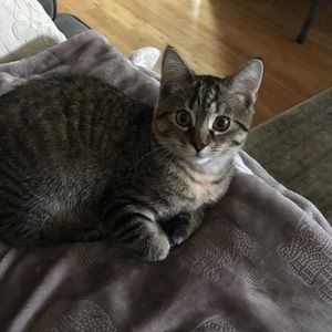 Meet your Posher, Hope